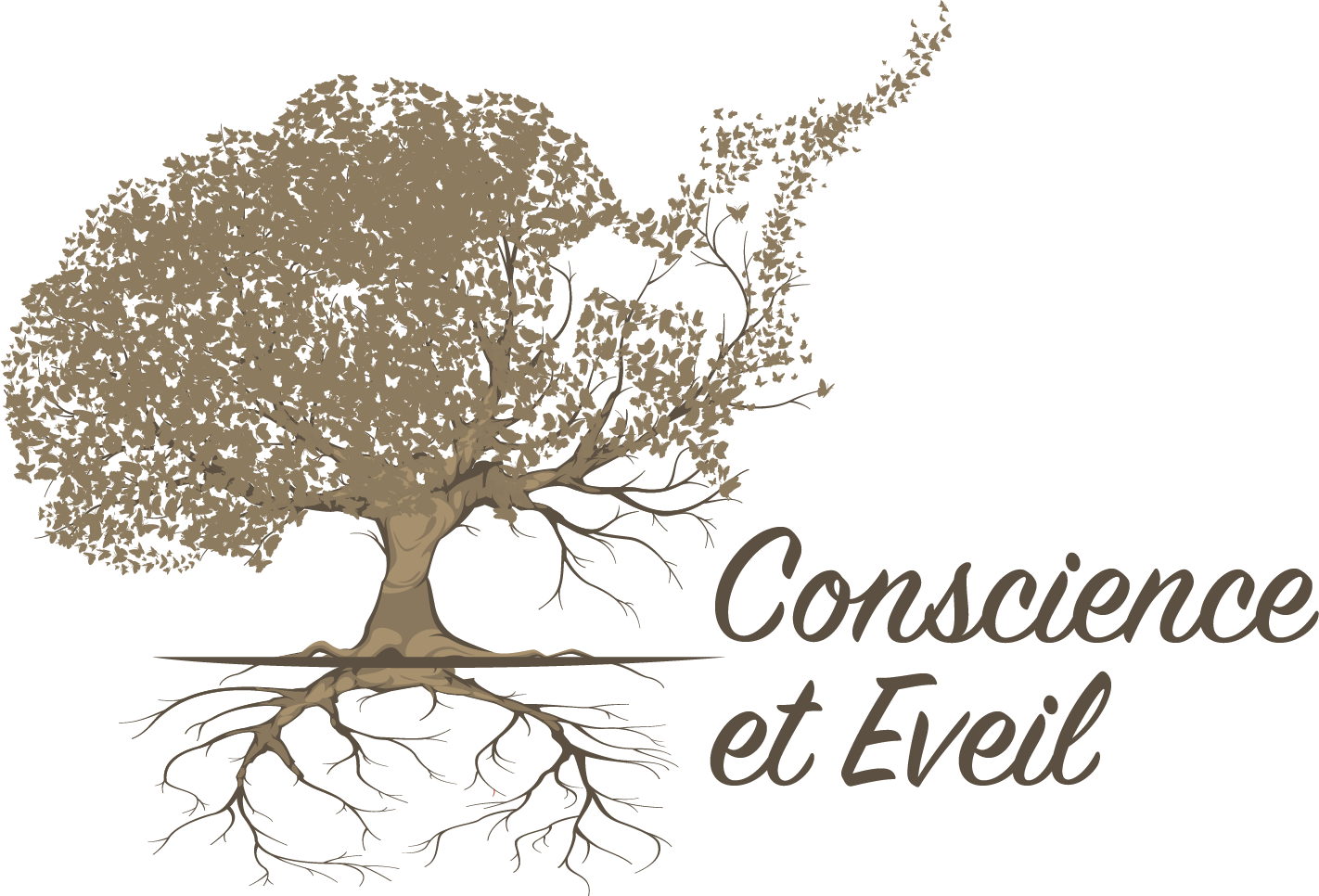 Conscience et Eveil